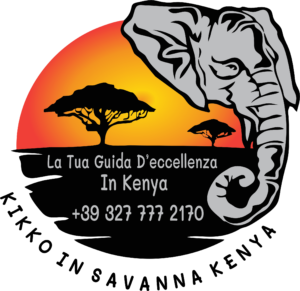 KIKKOINSAVANNA LOGO